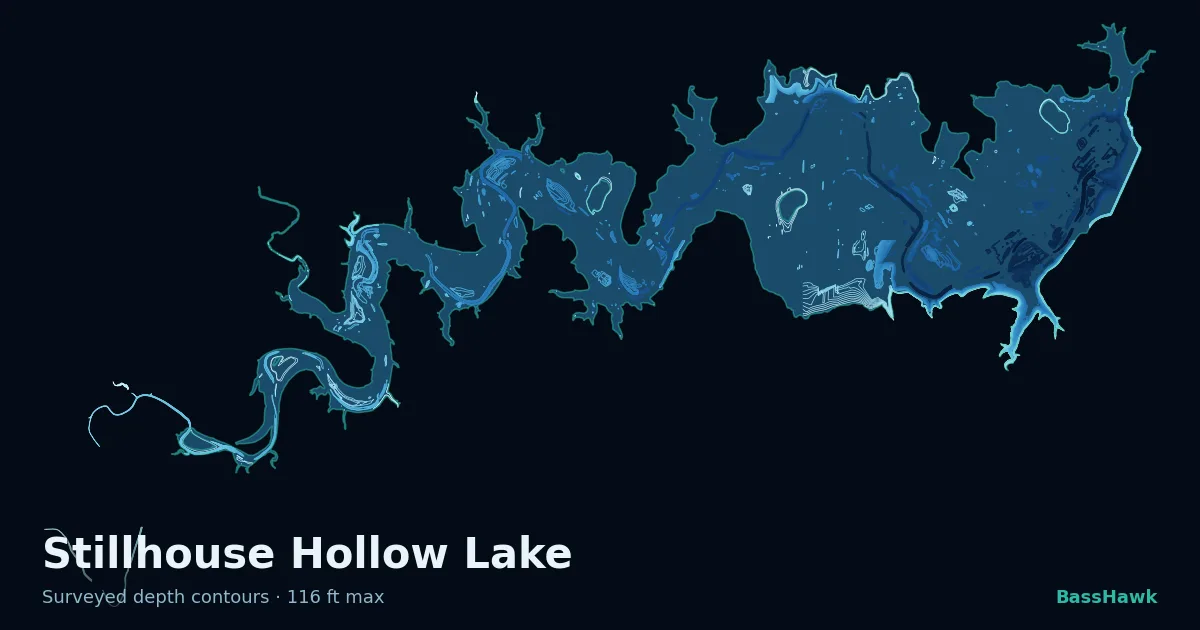 Stillhouse Hollow Lake depth contours — shallow flats bright, the creek channel and deep basin dark