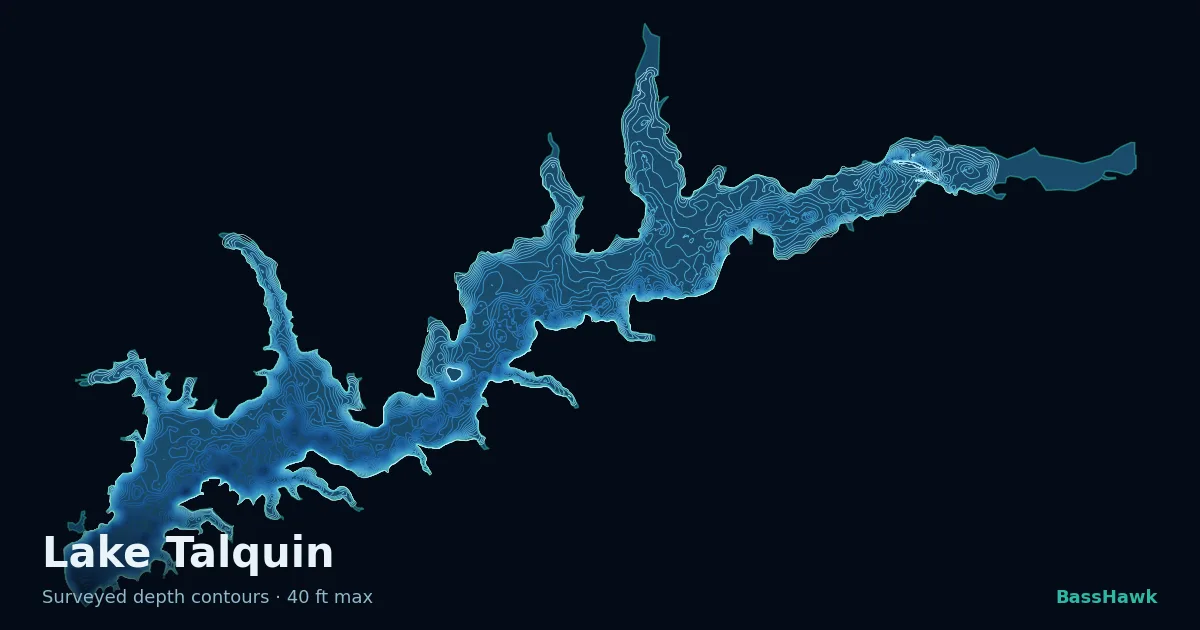 Lake Talquin depth contours — shallow flats bright, the creek channel and deep basin dark