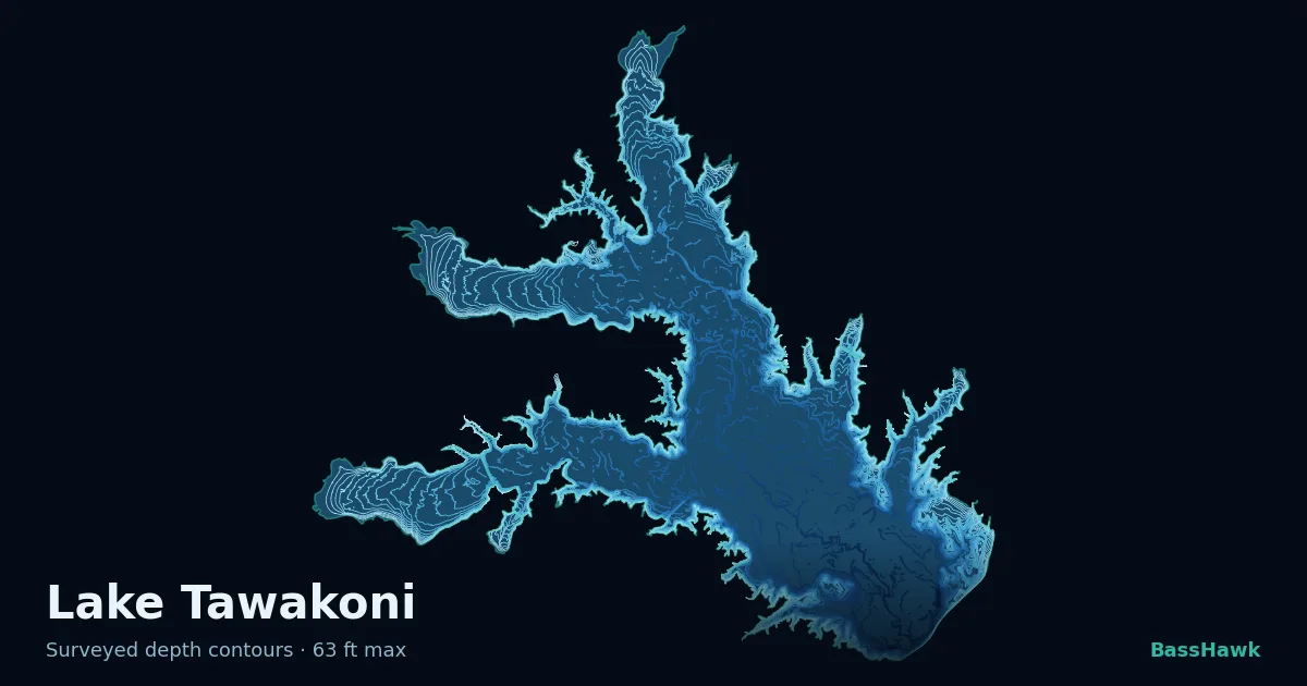 Lake Tawakoni depth contours — shallow flats bright, the creek channel and deep basin dark