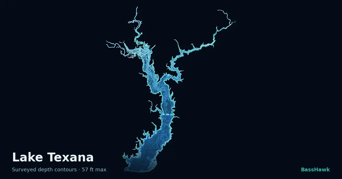 Lake Texana depth contours — shallow flats bright, the creek channel and deep basin dark