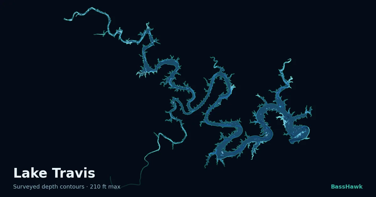 Lake Travis depth contours — shallow flats bright, the creek channel and deep basin dark