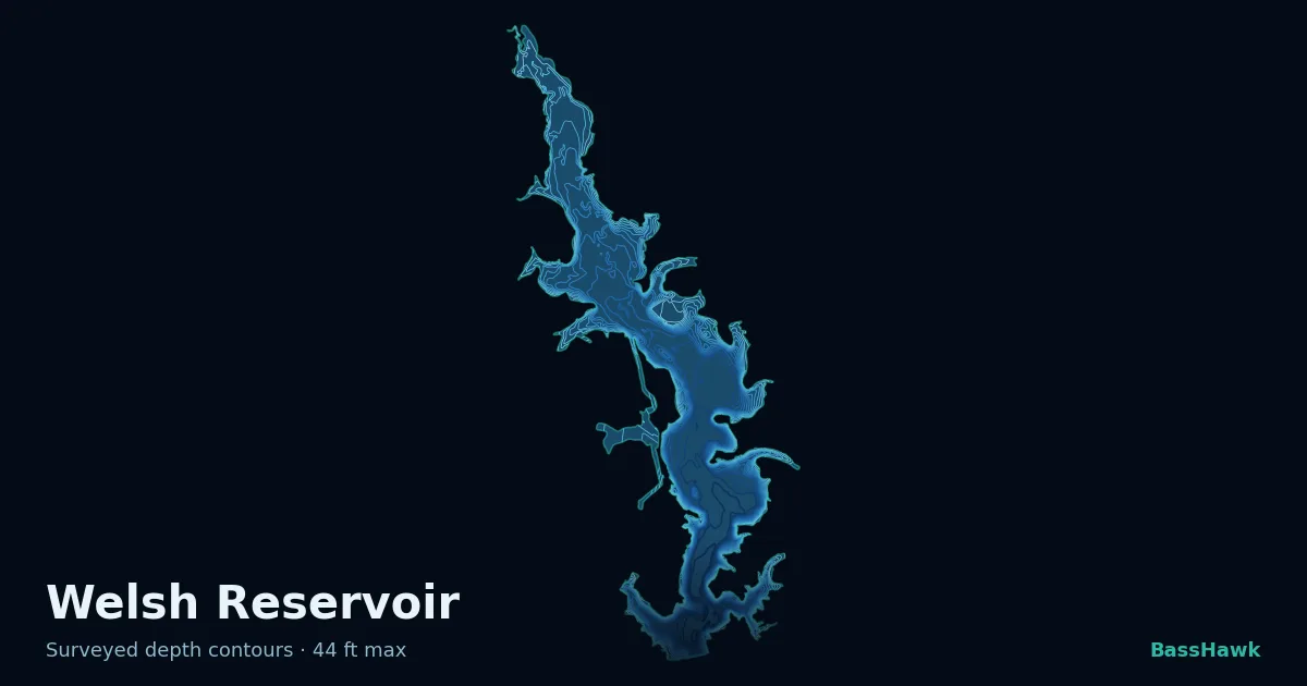 Welsh Reservoir depth contours — shallow flats bright, the creek channel and deep basin dark