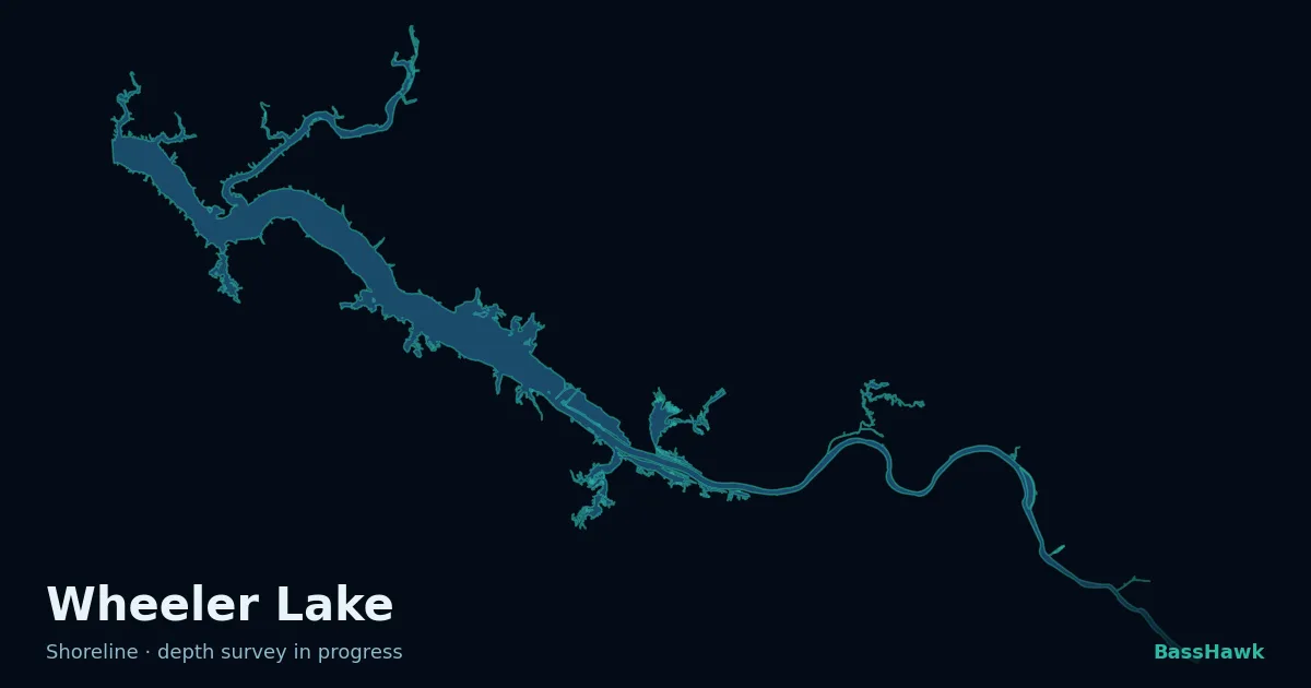 Wheeler Lake shoreline outline