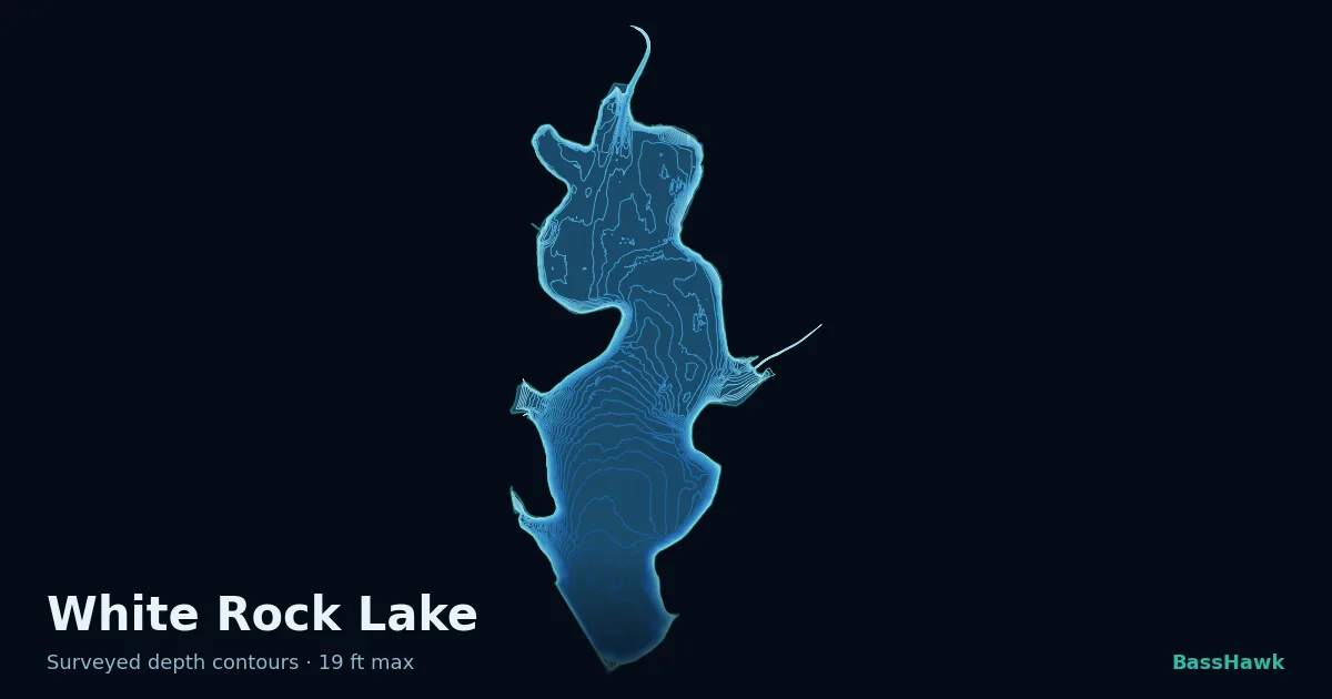 White Rock Lake depth contours — shallow flats bright, the creek channel and deep basin dark