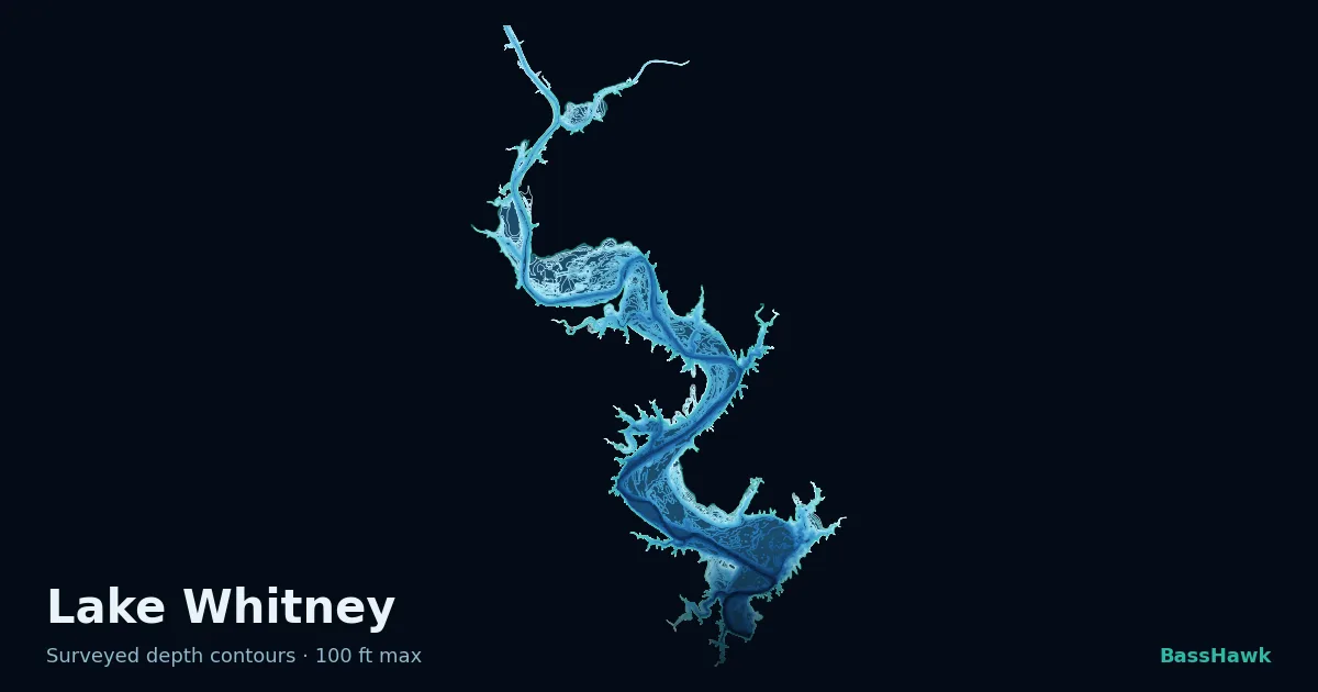 Lake Whitney depth contours — shallow flats bright, the creek channel and deep basin dark