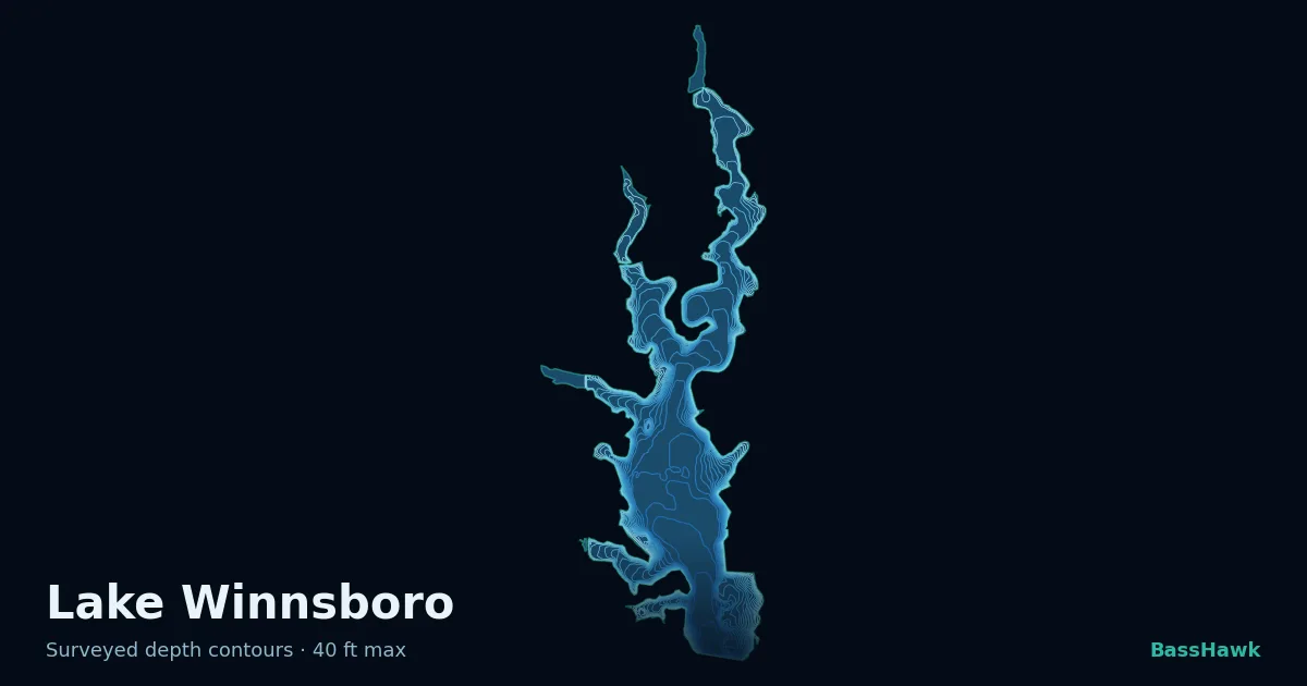Lake Winnsboro depth contours — shallow flats bright, the creek channel and deep basin dark